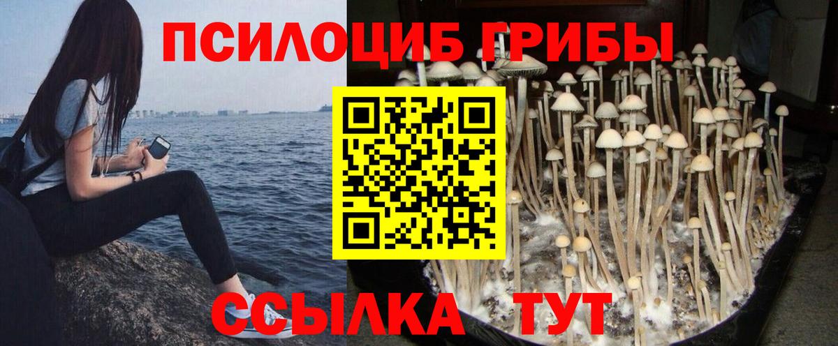 купить наркотик  Вход с VPN  Апрелевка  Псилоцибиновые грибы ЛСД 
